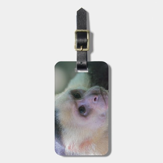 Pura vida Witkopaap Bagagelabel (Voorkant verticaal)