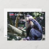 Pura vida Witkopaap Briefkaart (Voorkant / Achterkant)