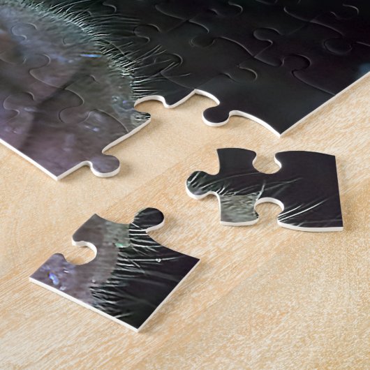 Pura vida Witkopaap Legpuzzel (Zijkant)