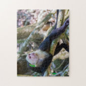 Pura vida Witkopaap Legpuzzel (Verticaal)