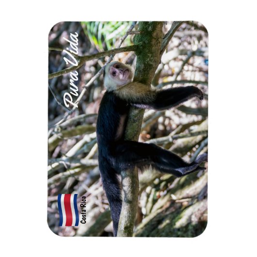 Pura vida Witkopaap Magneet (Verticaal)