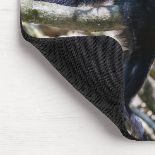 Pura vida Witkopaap Muismat (Hoek)