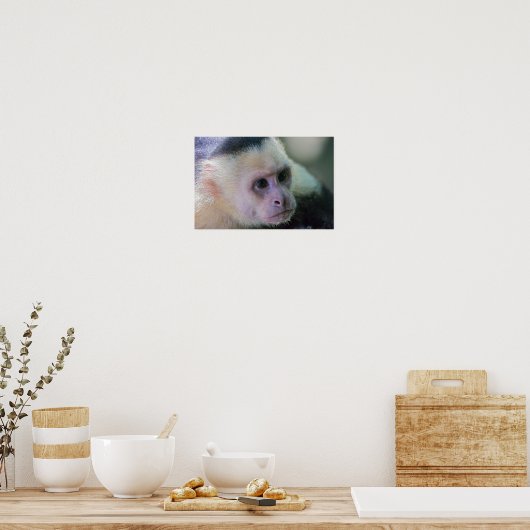 Pura vida Witkopaap Poster (Keuken)