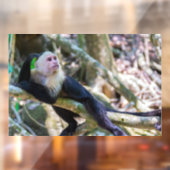 Pura vida Witkopaap Raamsticker (Vel 2)