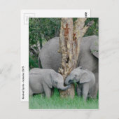 Pure Bliss Briefkaart (Voorkant / Achterkant)