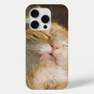 Pure Bliss Maine Coon Cat Close-up foto iPhone 15 Pro Case