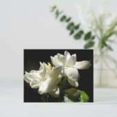 Pure Jasmine Briefkaart (Staand voorkant)