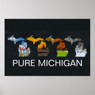 Pure Michigan Vier Seizoenen Foto's Poster