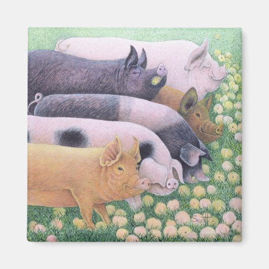 Pure Pleasure Magneet (Voorkant)