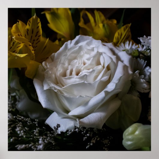 Pure Poster (Voorkant)