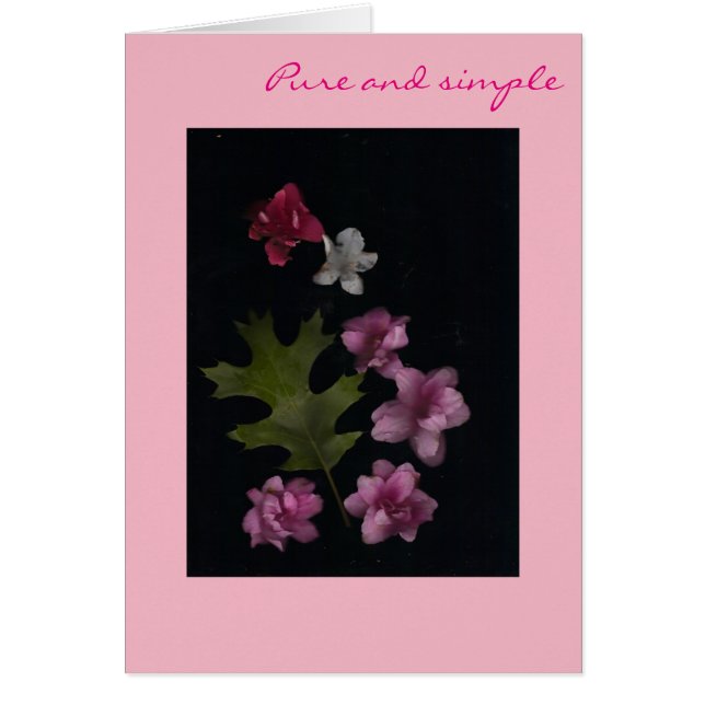 Pure roze (Voorkant)