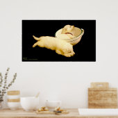 Pure White German Shepherd Puppies Poster (Keuken)