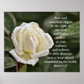 Pure White Rose Bible Scripting Poster (Voorkant)