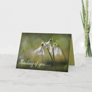 Pure White Snowdrops in Spring Kaart