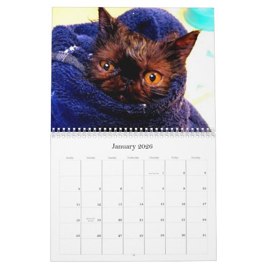 Purebred Cat Breed Rescue Agenda Kalender (Jan 2026)
