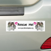 Purebreds Plus Rescue Me Bumpersticker (Op auto)