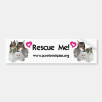 Purebreds Plus Rescue Me Bumpersticker