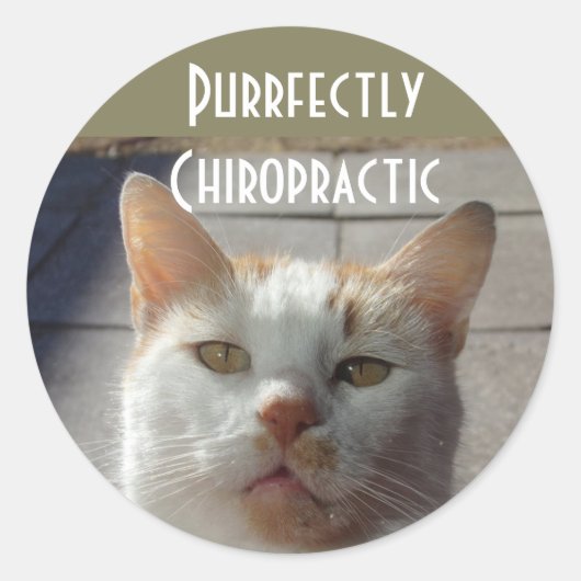 Purectly Chiropractie Stickers (Voorkant)