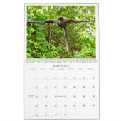 Purement Panama Calendrier 2025 (Mar 2027)