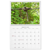 Purement Panama Calendrier 2025 (Mar 2026)