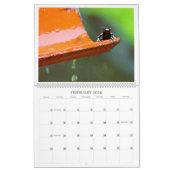 Purement Panama Calendrier 2025 (Feb 2026)