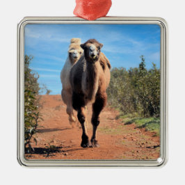 Purnimamma en Delany Metalen Ornament