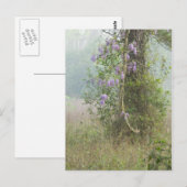 Purperbloemen in bossen briefkaart (Voorkant / Achterkant)