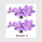 Purple Anemone Hepatica Flowers Vinyl Sticker (Vel)
