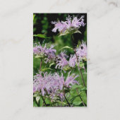 Purple Bee Balm Carte de visite de photographie (Dos)