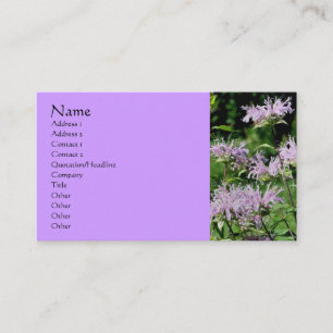 Purple Bee Balm Carte de visite de photographie