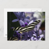 Purple briefkaart (Voorkant / Achterkant)