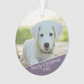 Purple Chien animal de compagnie photo Noël (devant)