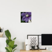 Purple Clematis Impression (Bureau à domicile)