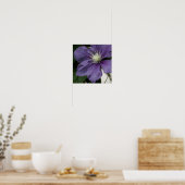 Purple Clematis Impression (Cuisine)