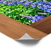 Purple Colorado fleur sauvage affiche pittoresque (Coin)