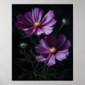 Purple Cosmos Fleurs Art Imprimer Poster (Devant)