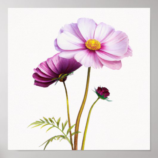 Purple Cosmos Fleurs Art Imprimer Poster (Devant)