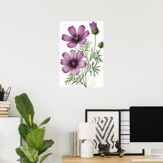 Purple Cosmos Fleurs Art Imprimer Poster (Bureau à domicile)