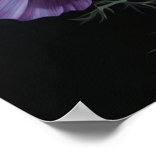 Purple Cosmos Fleurs Art Imprimer Poster (Coin)