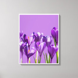 Purple Crocus Awakening Canvas Afdruk
