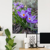 Purple Crocus Flower Poster (Thuiskantoor)