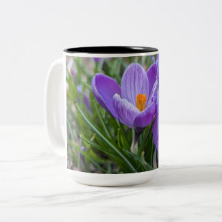 Purple Crocus Flower Tweekleurige Koffiemok