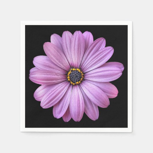 Purple Daisy sur les serviettes en papier noir (Devant)