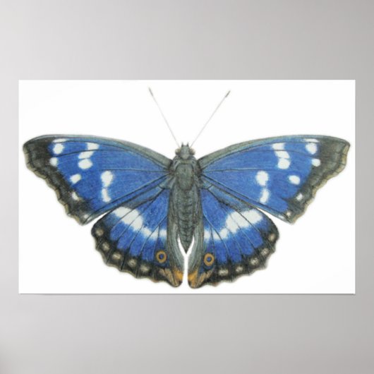 Purple Emperor 2012 Poster (Voorkant)