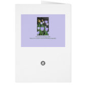 "PURPLE ET BLANC TULIPS / Penser à vous (Dos)
