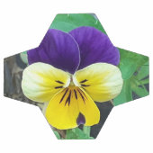 Purple et Yellow Pany (Plat)