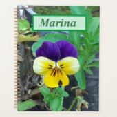 Purple et Yellow Pany (Devant)