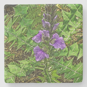 PURPLE FLOWERS AMID INTERESTING GREEN LEAVES STENEN ONDERZETTER