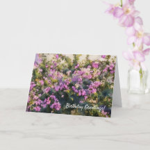 Purple Flowers Bougainvillea Art Birthday Kaart