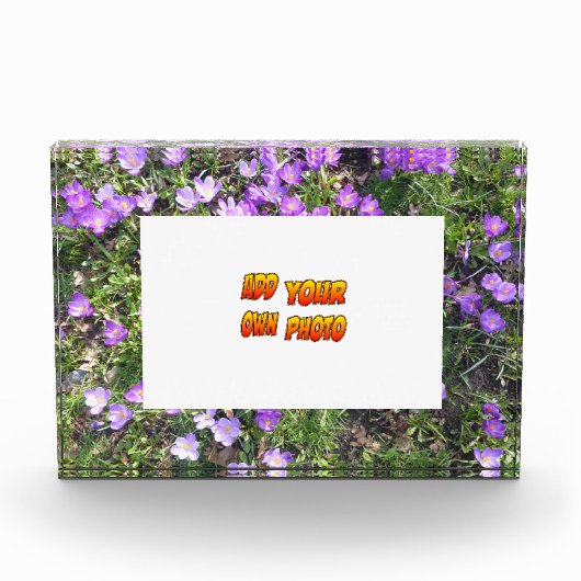 Purple Flowers Crocus Cust. Fotoblok (Voorkant)